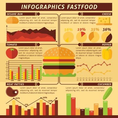 Fast food infographics set with cheeseburger ingredients and charts vector illustration