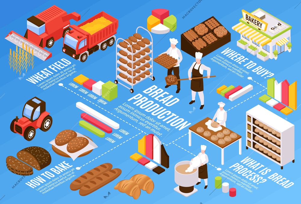 Bread production flowchart with wheat field symbols isometric vector illustration