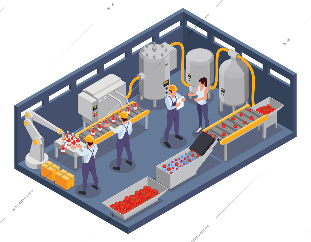 Tomatoes production isometric composition with isolated indoor view of industrial line with workers sorting packing vegetables vector illustration