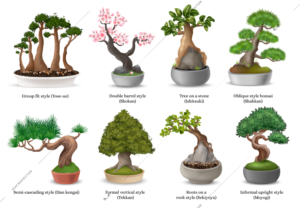 Realistic japanese bonsai trees in flowerpots icons set isolated vector illustration