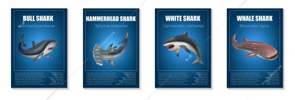 Realistic shark poster set with different types of dangerous fishes isolated vector illustration