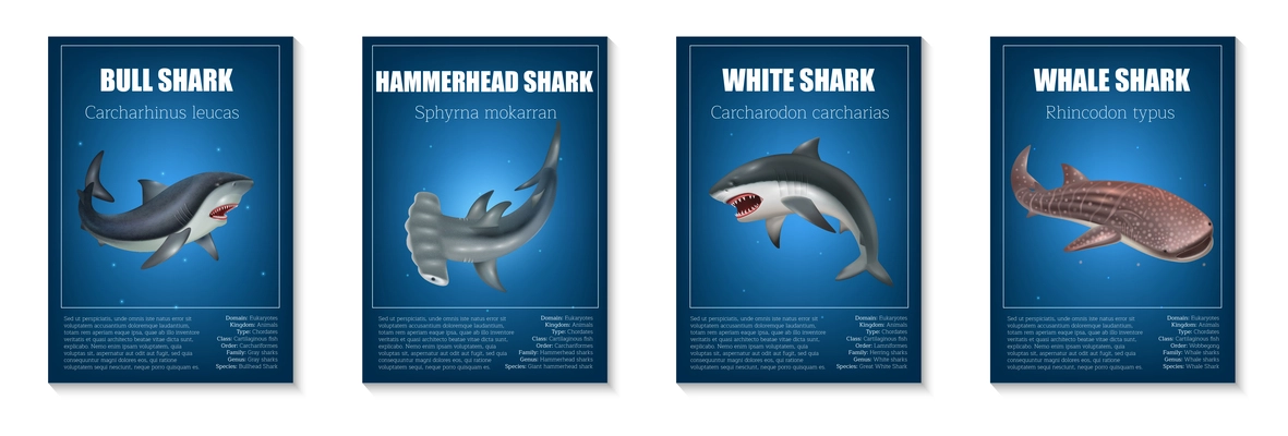 Realistic shark poster set with different types of dangerous fishes isolated vector illustration