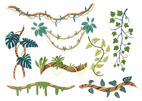 Flat set of tropical lianas with green leaves isolated on white background vector illustration