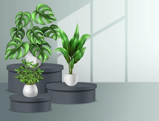 Houseplants interior background with exotic garden realistic  vector illustration