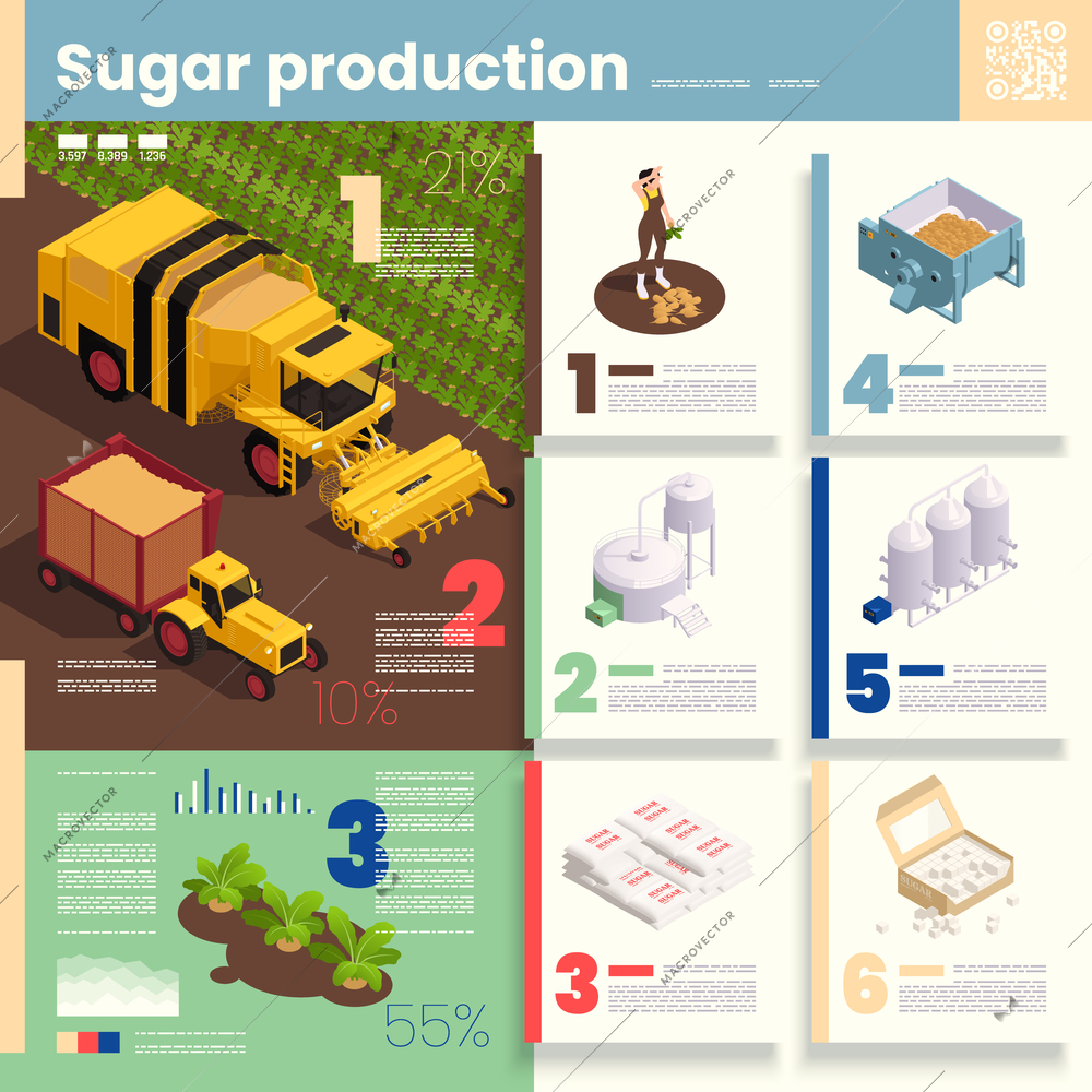 Sugar production infographics illustration depicting beet harvesting process and stages of fabrication of finished product isometric vector illustration