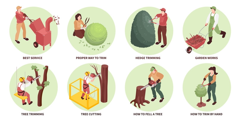 Garden workers compositions set with tree cutting symbols isometric isolated vector illustration