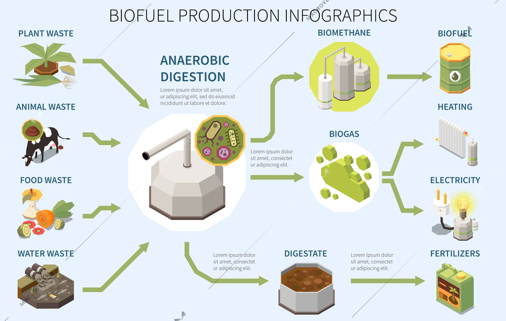 Biofuel production infographics poster with types of organic waste anaerobic digestion biogas usage 3d isometric vector illustration