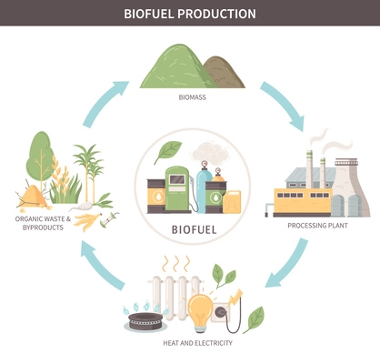 Biofuel production flat infographics scheme from organic waste and byproducts to heat and electricity flat vector illustration