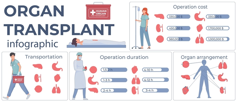 Organ transplant flat set of infographic compositions with internal limb silhouettes medical professionals and text captions vector illustration