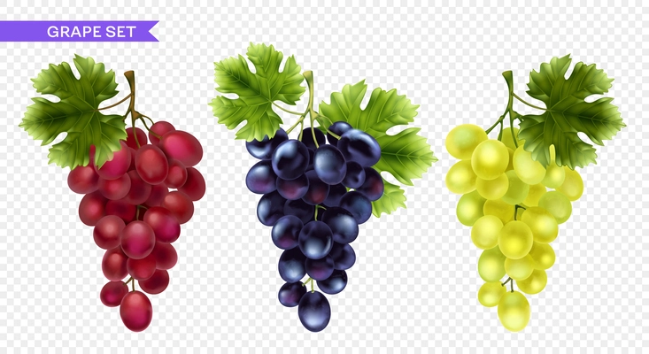 Realistic grape set with isolated images of colorful vine clusters of different color on transparent background vector illustration