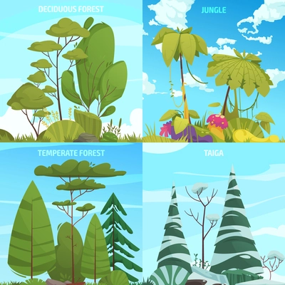 Ecosystem types cartoon compositions set with different forest systems isolated vector illustration