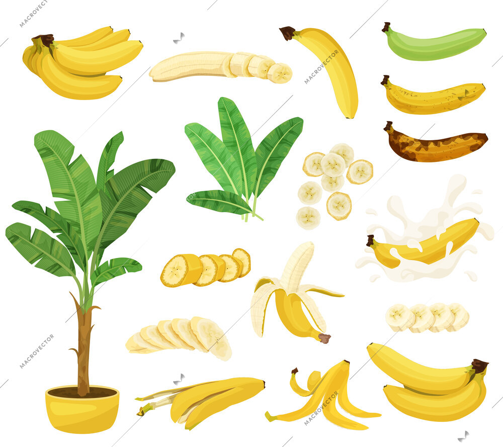 Banana flat set with isolated images of under ripe and overripe banana fruits with skin slices vector illustration