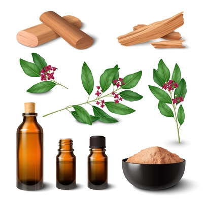 Sandalwood realistic set of plant twigs wooden material essential oil vials perfume powder fragrant sticks and chips isolated vector illustration