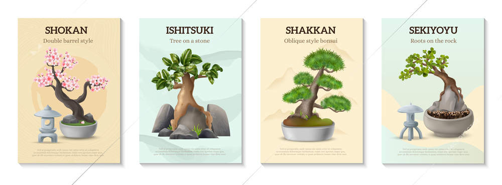 Japanese Bonsai tree types realistic poster set isolated vector illustration