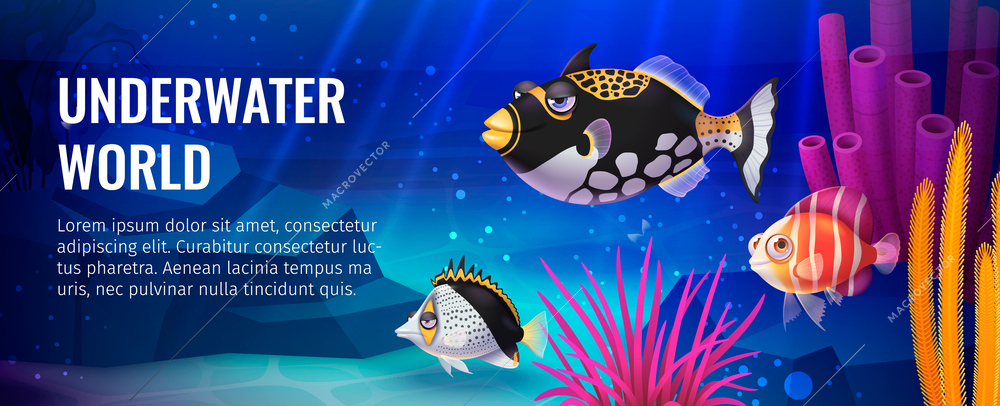 Underwater world poster with cute coloful fishes and coral reefs vector illustration