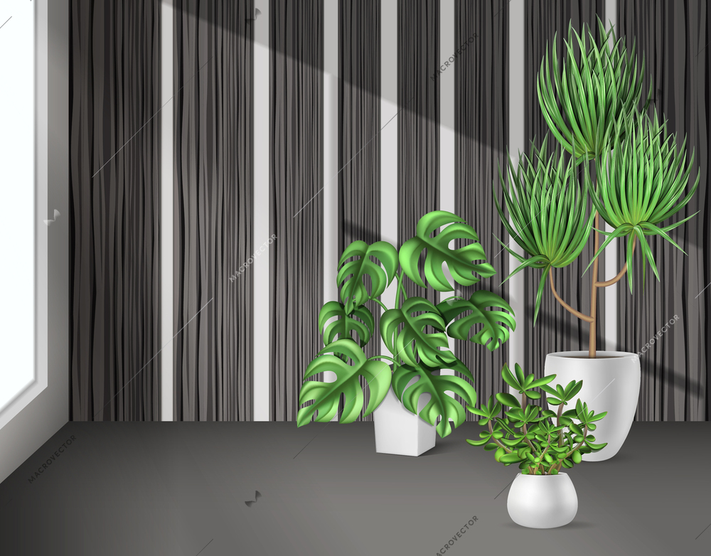 Houseplants indoor background with different vegetation realistic  vector illustration