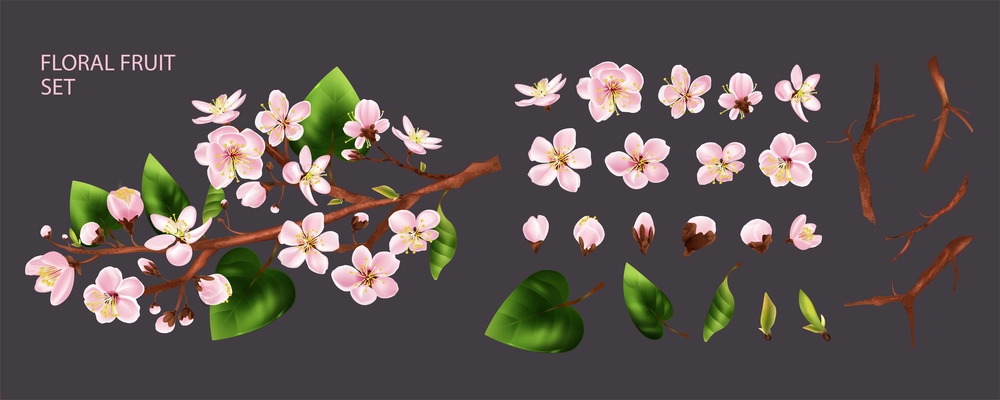 Fruit tree branch set with white flowers realistic isolated vector illustration