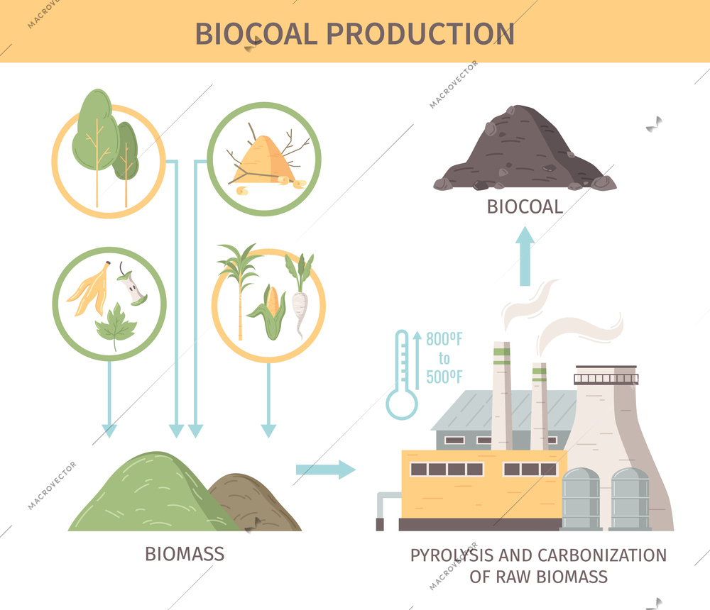 Biocoal production infographics illustration demonstrated sources of raw biomass for pyrolysis and carbonization processing flat vector illustration