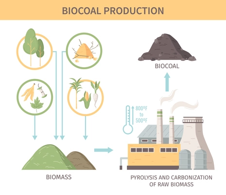 Biocoal production infographics illustration demonstrated sources of raw biomass for pyrolysis and carbonization processing flat vector illustration