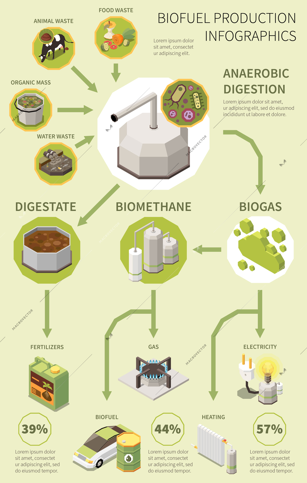 Biofuel infographics poster with production process from organic waste collection and anaerobic digestion to biogas fertilizer electricity vector illustration