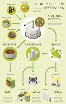 Biofuel infographics poster with production process from organic waste collection and anaerobic digestion to biogas fertilizer electricity vector illustration