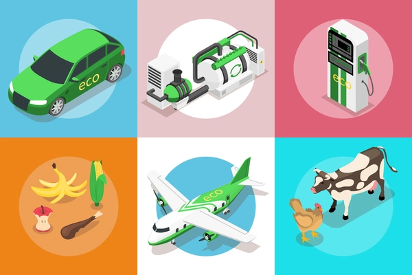 Set of six square compositions with icons of eco transport vehicles animals fuel column and waste vector illustration