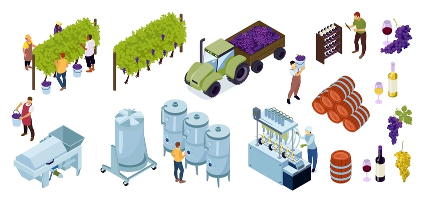 Isometric vineyard wine production set wine in bottles and glass grape various devices and equipment for growing and harvesting grapes vector illustration