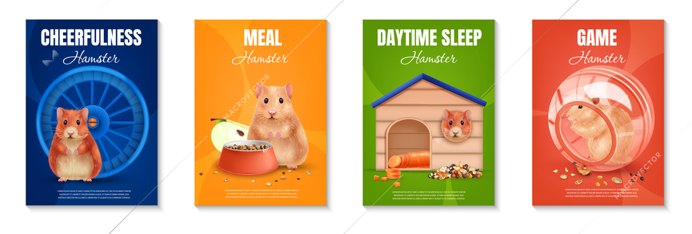 Realistic hamster poster set with funny pet and his accessories isolated vector illustration