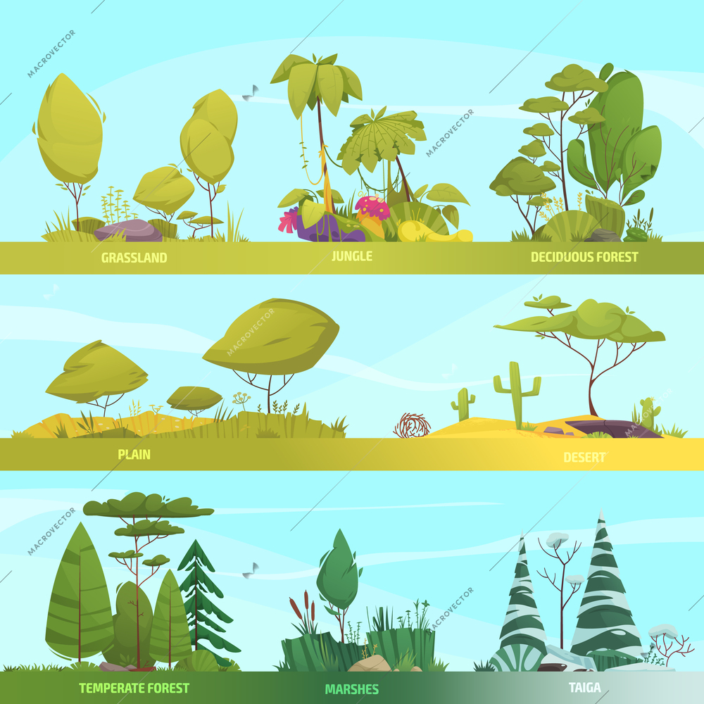 Ecosystem types cartoon banner set with temperate forest and desert compositions isolated vector illustration