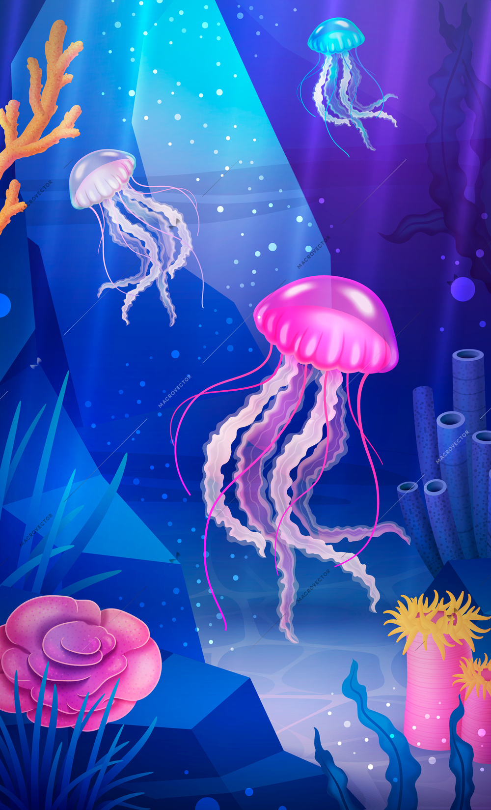 Underwater world poster with coral reefs and jellyfishes vector illustration