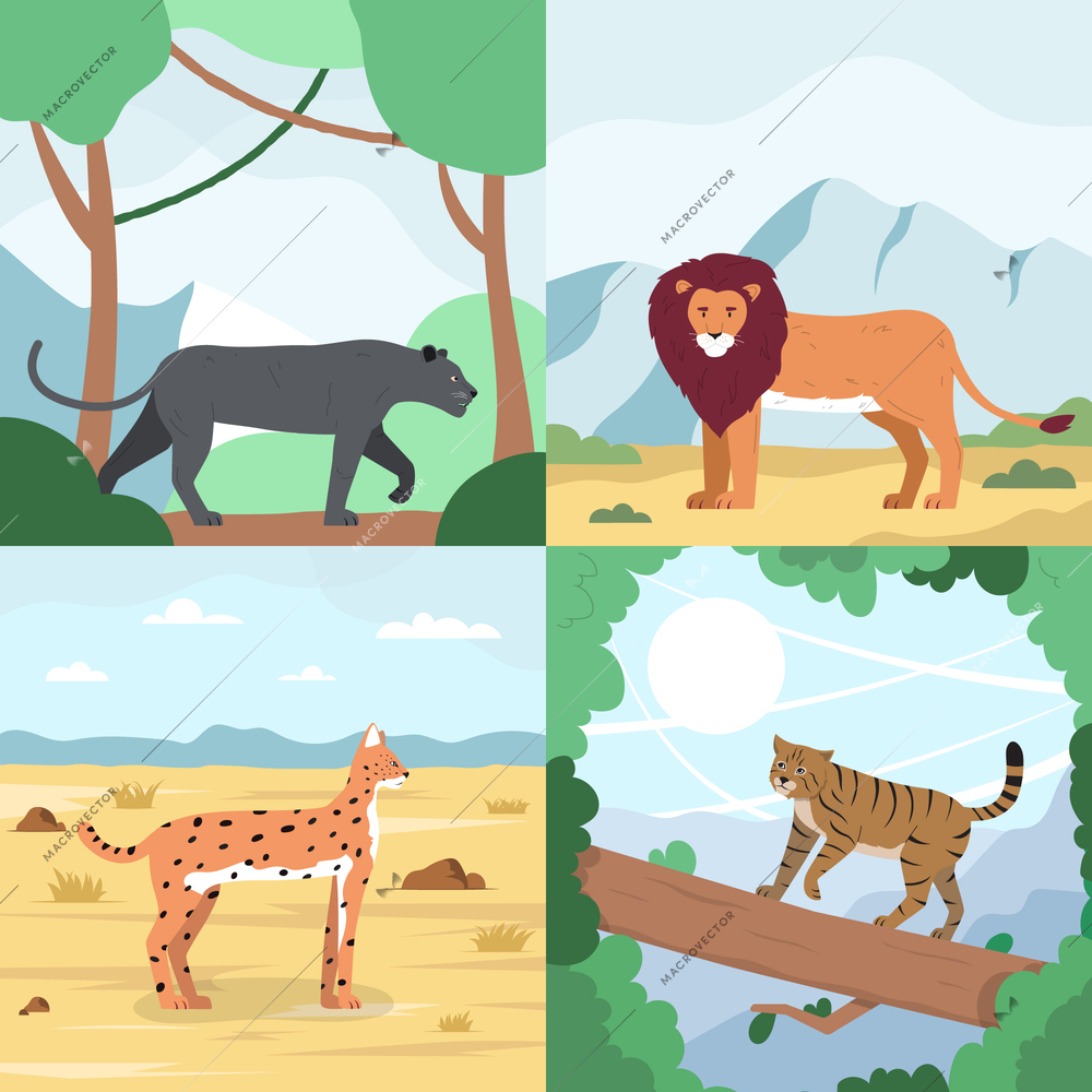 Wild cats flat 2x2 set of square compositions with outdoor landscapes and felines in natural habitat vector illustration