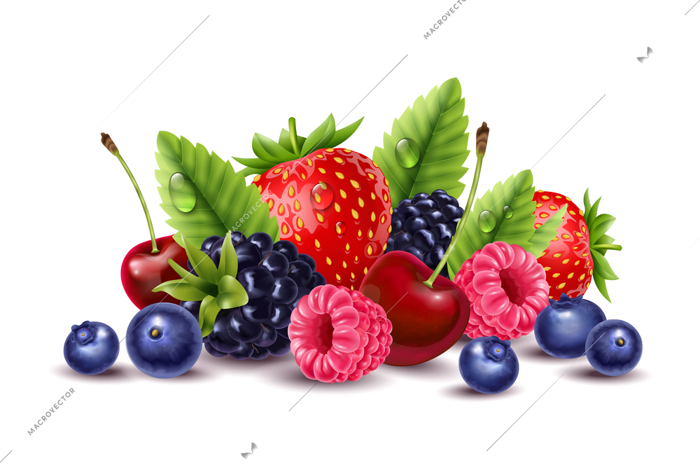 Realistic berries composition with isolated view of sweet berries with leaves and shadows on blank background vector illustration