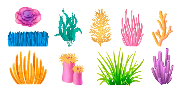 Coral reefs cartoon icons set with algae seaweed plants isolated vector illustration