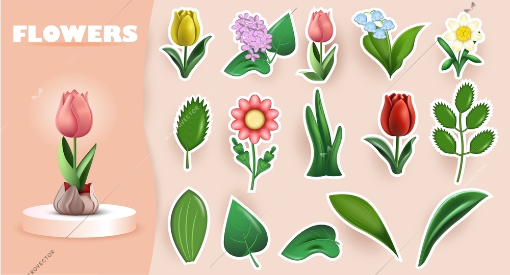 3d leaf flower compositions set with cumbersome icons of whole flowers with isolated stalks and leaves vector illustration