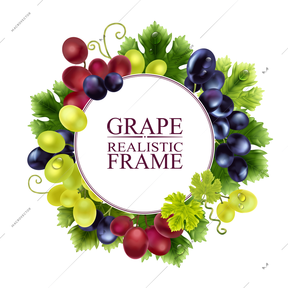 Realistic grape frame composition with ornate text placed in circle surrounded by ripe berries and leaves vector illustration