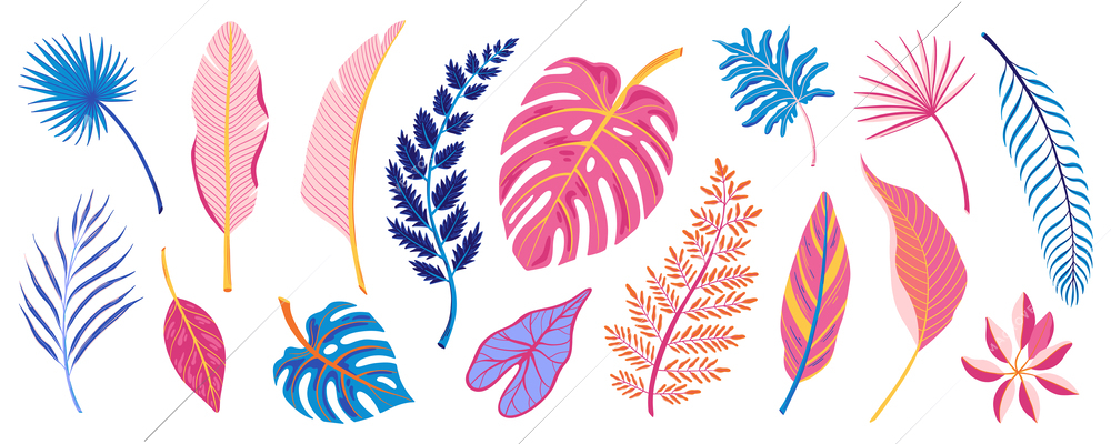 Color tropical leaves of various exotic plants flat set isolated on white background vector illustration