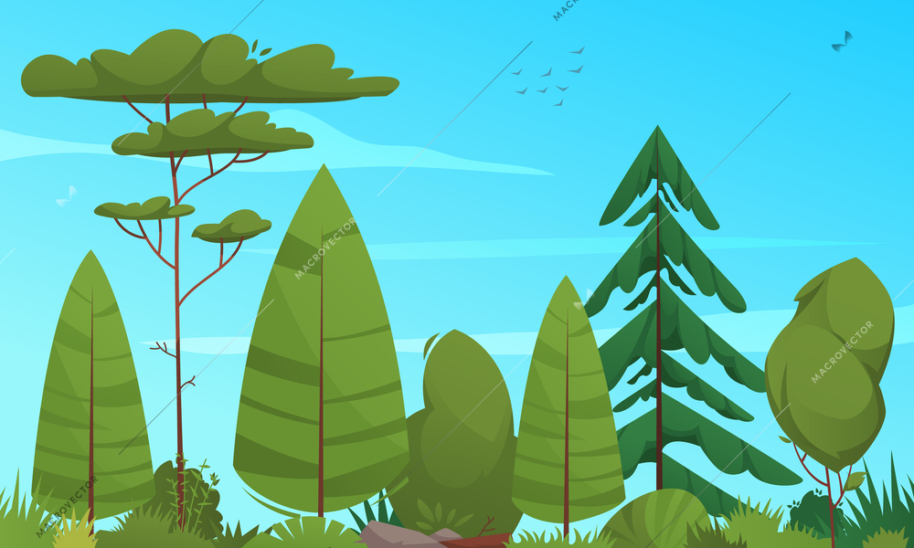 Ecosystem cartoon poster with deciduary forest trees vector illustration