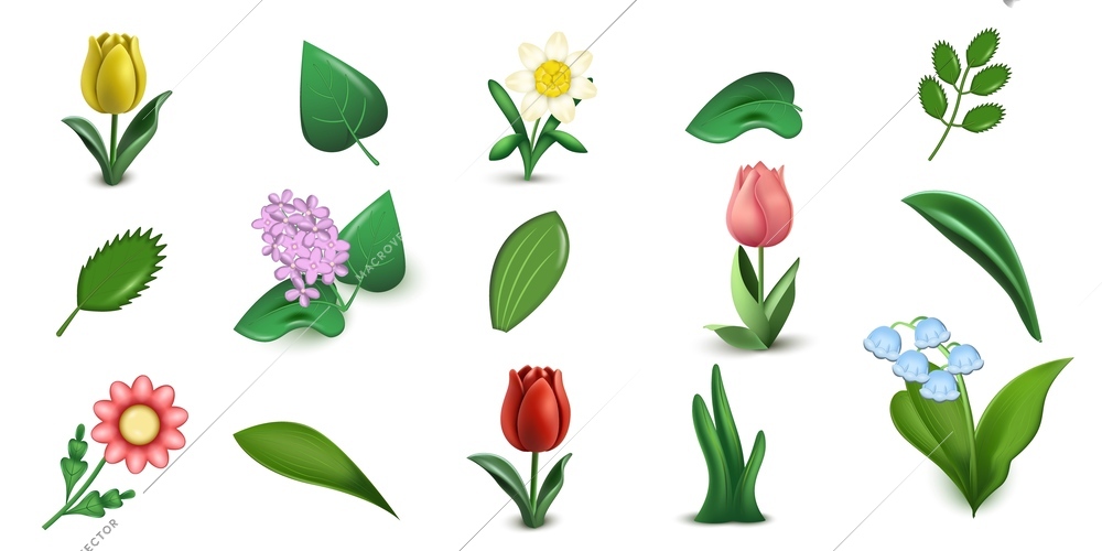 3d leaf flower set with icons of floral elements stalks buds and leaves on blank background vector illustration