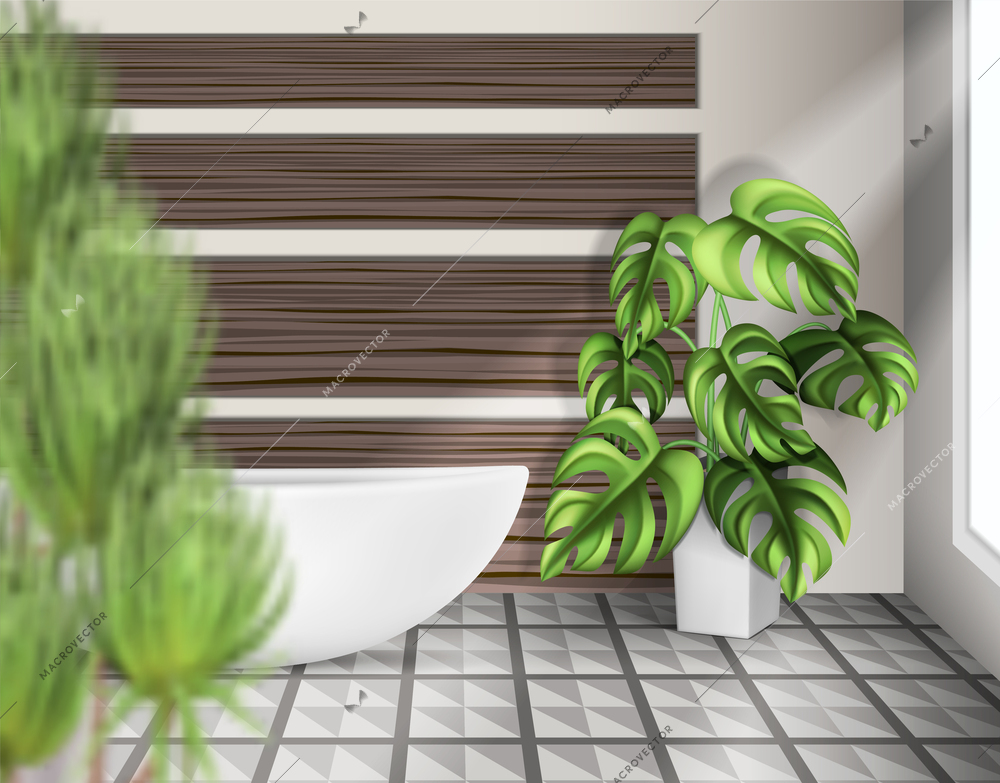 Houseplants interior background with botanic variety realistic  vector illustration