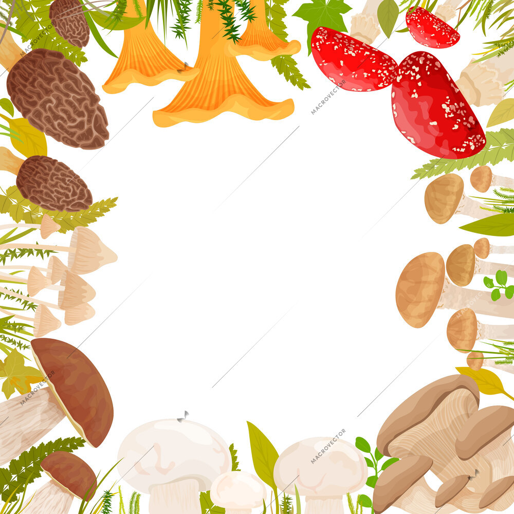 Mushrooms square compositions with empty space surrounded by flat images of shrooms with forest grass leaves vector illustration