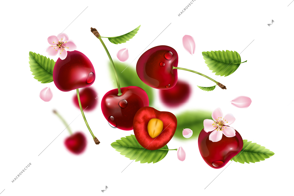 Realistic cherry flying composition with isolated motion view of berries with leaves flowers on blank background vector illustration