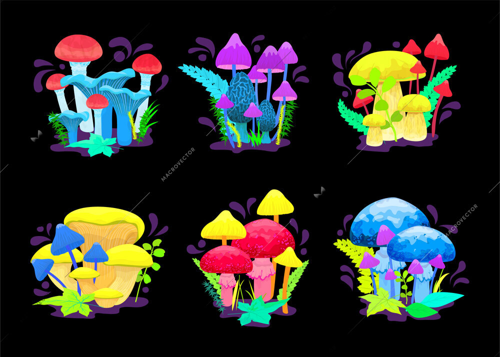 Magic glowing mushrooms set with mystery symbols flat isolated vector illustration