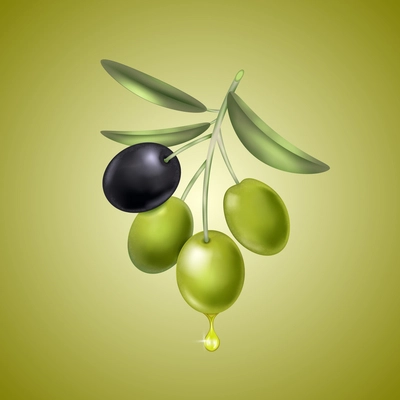 Realistic olive composition with bunch of berries hanging on stalks and shiny drop on gradient background vector illustration