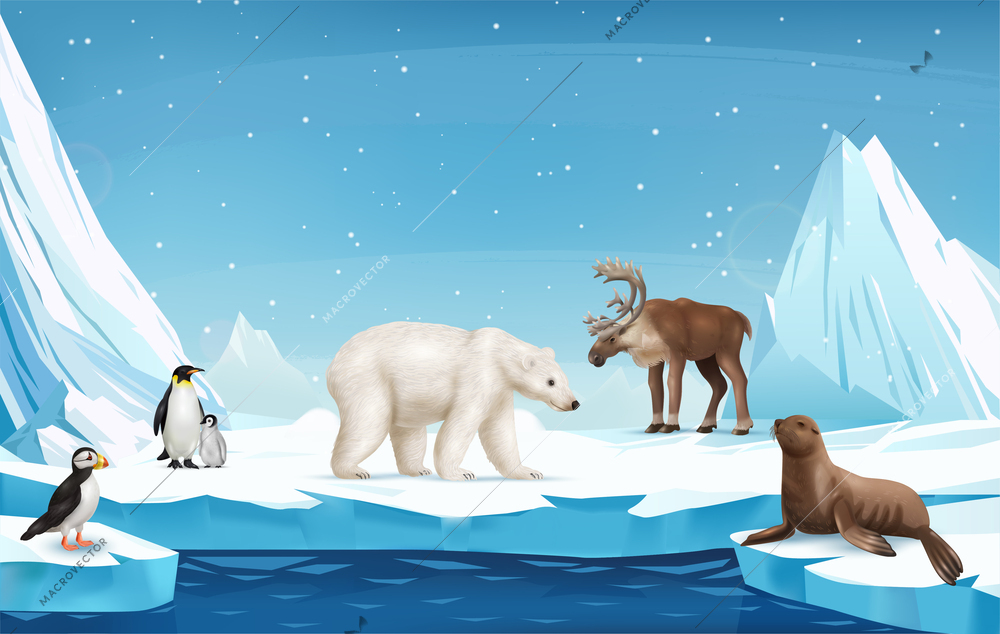 Realistic winter landscape with arctic animals and birds on ice floe with rocks and falling snow in background vector illustration