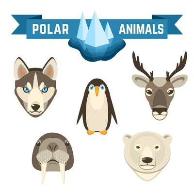Polar animals decorative icons set with pinguin deer walrus white bear isolated vector illustration