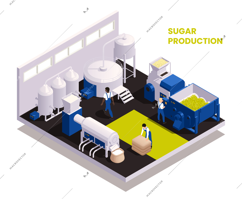 Sugar production isometric composition illustrated the sequence of function of technological process vector illustration