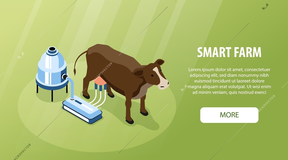 Isometric smart farm horizontal banner with automatic cow milking and big headline vector illustration