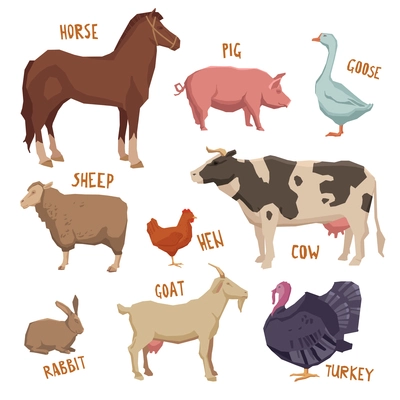 Farm animals set with horse pig sheep goat turkey isolated vector illustration