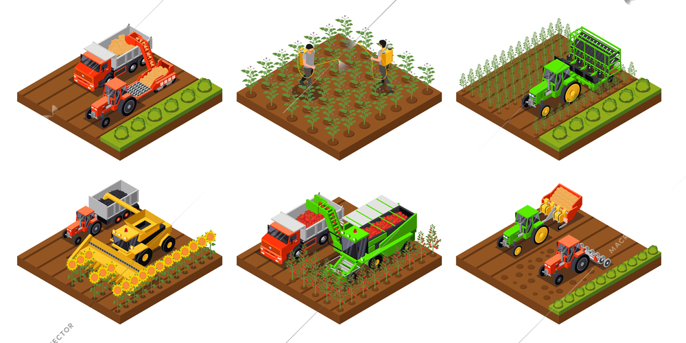 Potato chips production isometric set with six isolated platforms of field works with machinery and harvest vector illustration