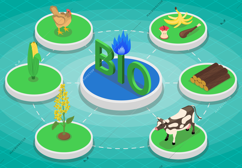 Biofuel biogas production isometric infographics with circle of round platforms with plants animals and waste residuals vector illustration